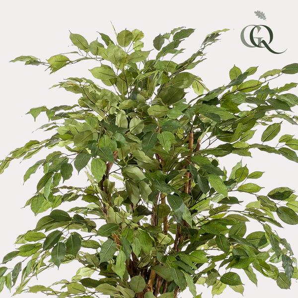 Künstlicher Ficus Liana H170cm