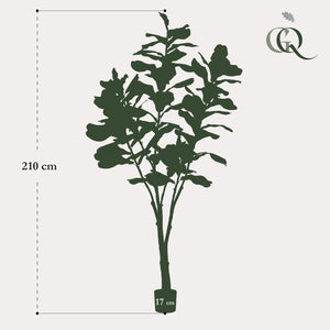 Kunstplant - Ficus Lyrata - Tabaksplant - 210 cm