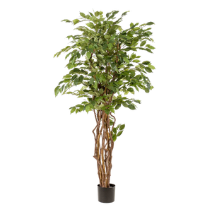 Künstlicher Ficus Liana H170cm