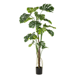 Künstliche Monstera, H180cm