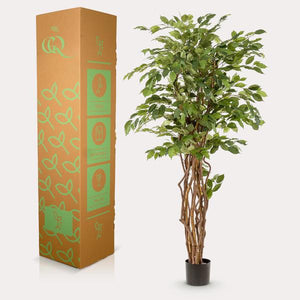 Künstlicher Ficus Liana H170cm