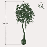 Kunstpflanze - Pachira Aquatica - Geldboom - 180 cm