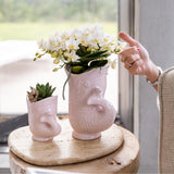 Kolibri-Orchideen | Witte Phalaenopsis Orchidee - Nazaré - Topf Ø9cm | Bloeiende kamerplant - vers van de kweker