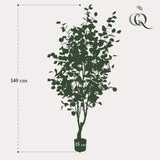 Kunstplant - Eukalyptus - Blue Gomboom - 140cm - 140