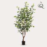 Kunstplant - Eukalyptus - Blue Gomboom - 140cm - 140